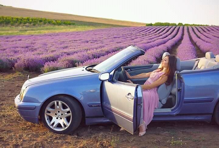 Things to Know About 100% Pure Lavender Essential Oil