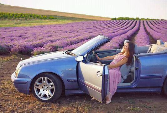 Things to Know About 100% Pure Lavender Essential Oil