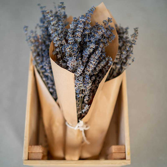 Dried Aromatic Lavender Bouquet