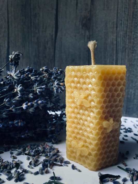 Bees & Honeycomb Beeswax Candle
