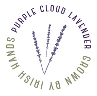 Purple Cloud Lavender